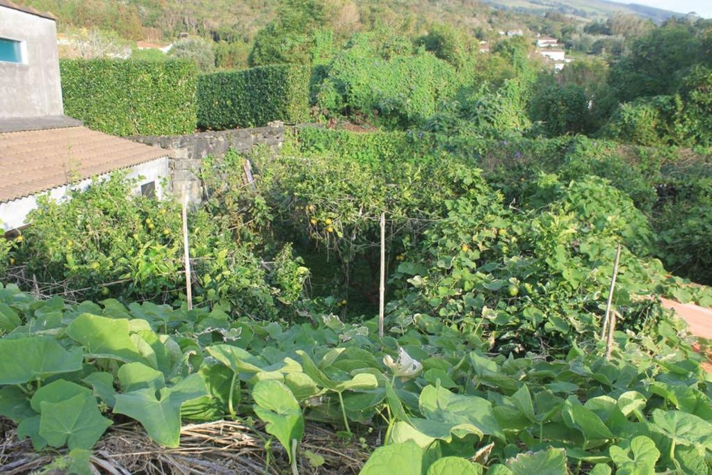 오르타 Quinta Do Areeiro 아파트 외부 사진